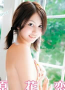 上原花恋