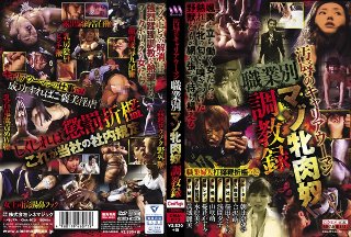 [朝比奈ゆい]汚辱のキャリアウーマン 職業別マゾ牝肉奴調教録