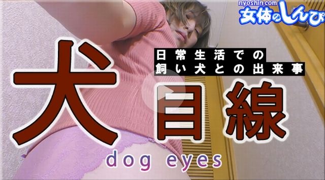 犬目線 - なほこ