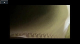 [素人]真昼間からの情事