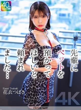 [花衣つばき]【4K】先輩にペットを預かってほしいと頼まれました...