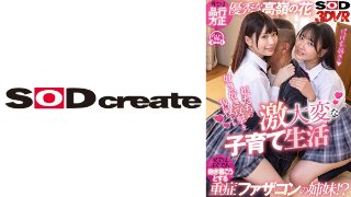 [南乃そら]【VR】外では品行方正優秀な高嶺の花、家ではすぐで...