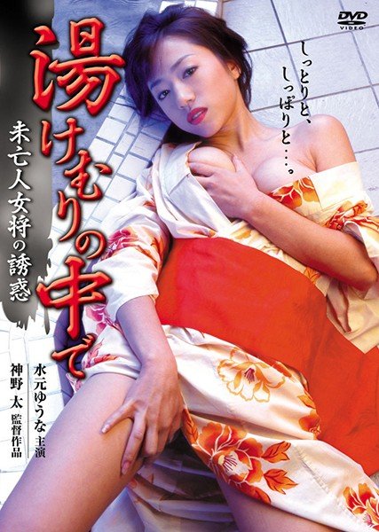 In the Yukemuri ~The Temptation of a Widow Landlady~ (Reprint Special Price Edition)