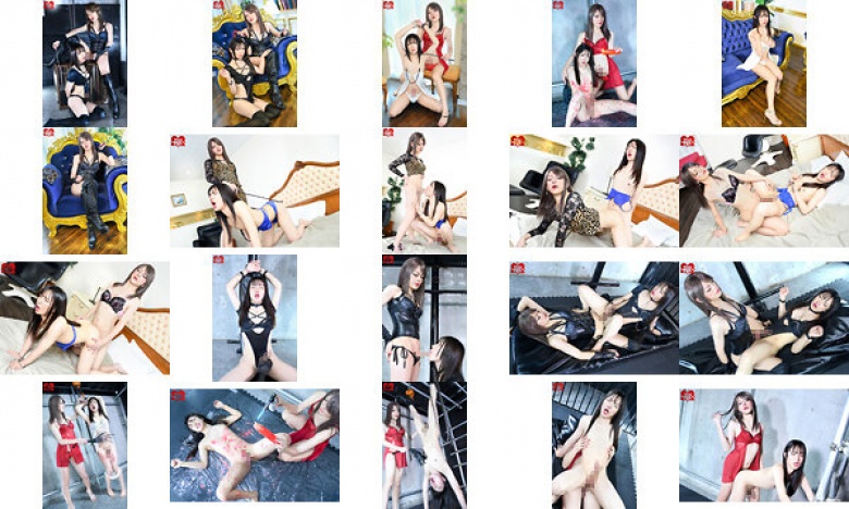 在打击世界中,是一个独一无二的女王:样本图像