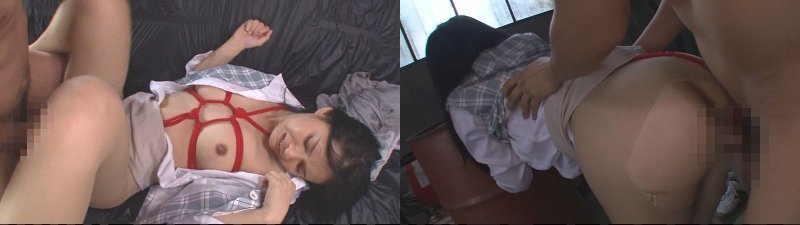 :样本图像