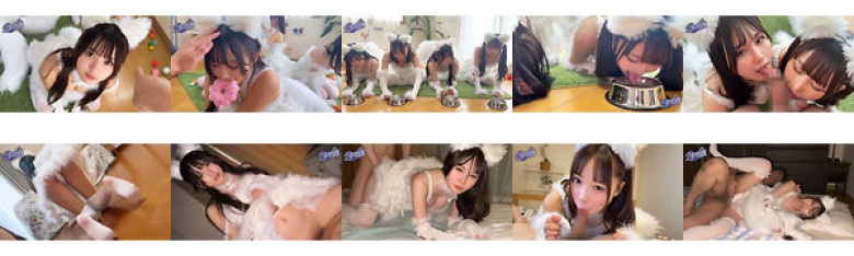 Super Samo Erotic Cafe! ! A special mofu-pussy orgy with Samoyed, who is a favorite of Pojerky! !:Image