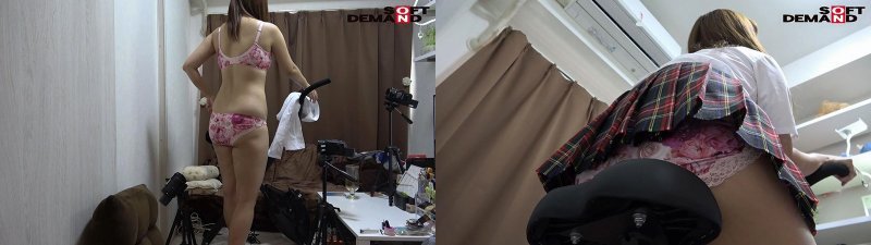 :样本图像