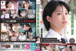 [9999]電車生姦制裁 ＃003